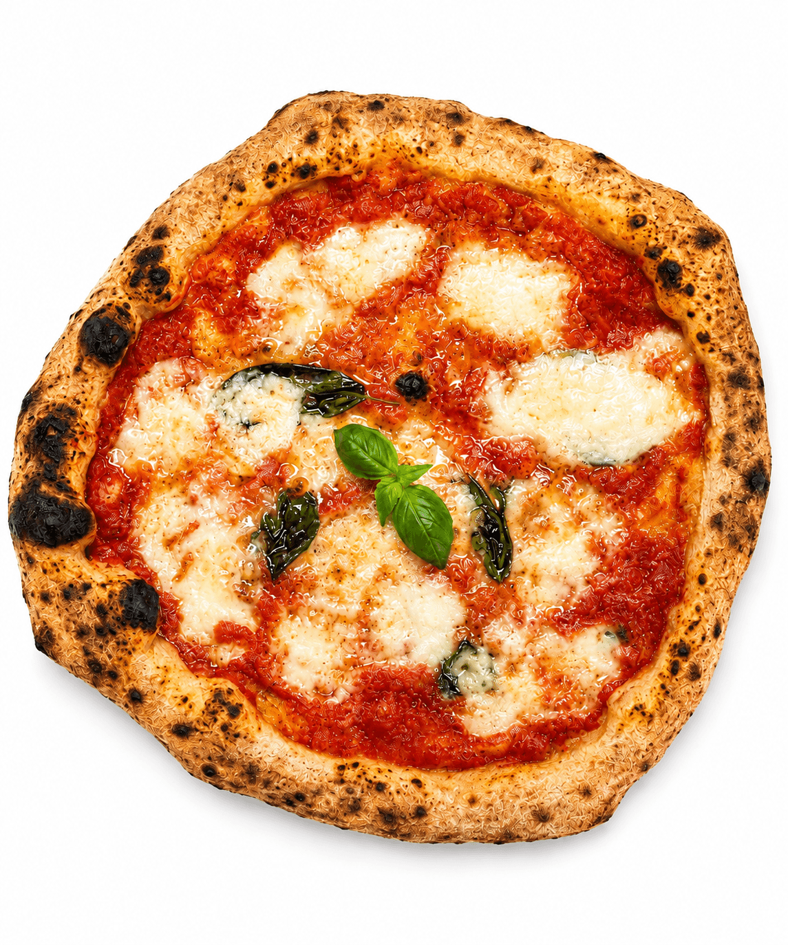 Pizza Margherita